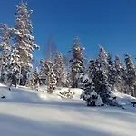 Mansikka 3* Taipalsaari