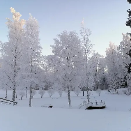 Mansikka Taipalsaari