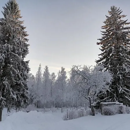 Mansikka Taipalsaari