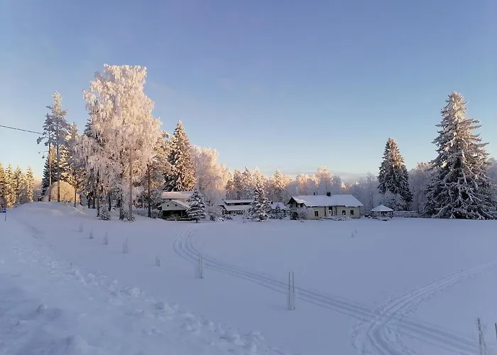 Mansikka Taipalsaari