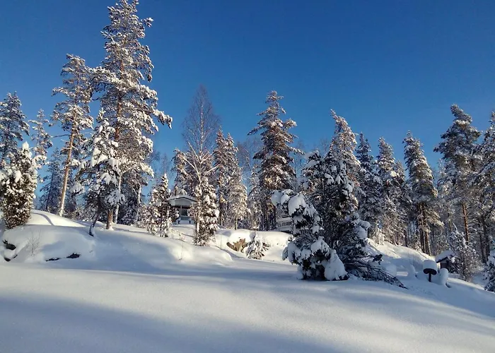 Mansikka 3* Taipalsaari