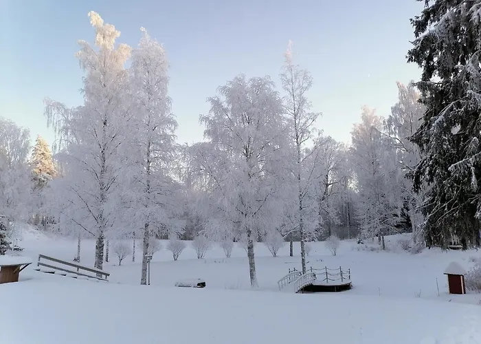 Mansikka Taipalsaari