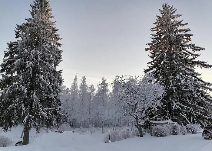 Mansikka Taipalsaari