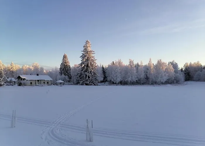 Mansikka 3* Taipalsaari